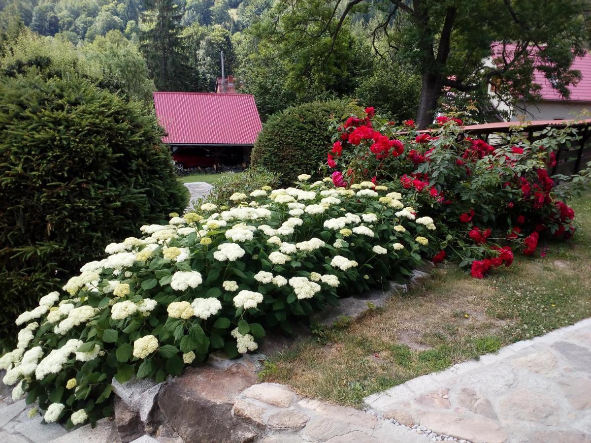 Apartamencik Na Slonecznej بييخوفيتسا المظهر الخارجي الصورة